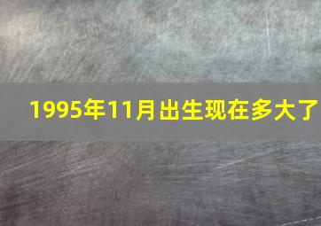 1995年11月出生现在多大了