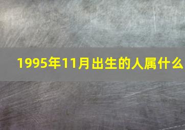 1995年11月出生的人属什么