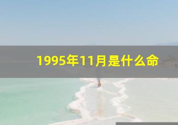 1995年11月是什么命