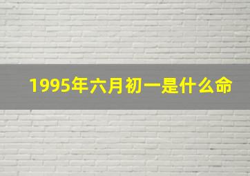 1995年六月初一是什么命