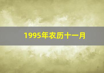 1995年农历十一月