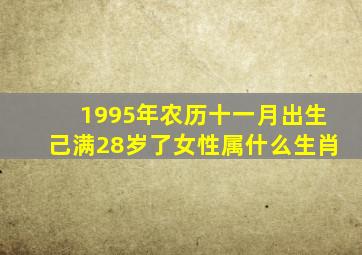 1995年农历十一月出生己满28岁了女性属什么生肖