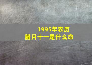 1995年农历腊月十一是什么命