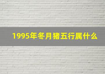 1995年冬月猪五行属什么