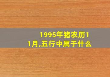 1995年猪农历11月,五行中属于什么