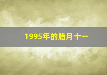 1995年的腊月十一