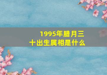 1995年腊月三十出生属相是什么