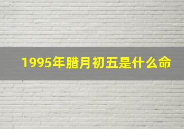 1995年腊月初五是什么命