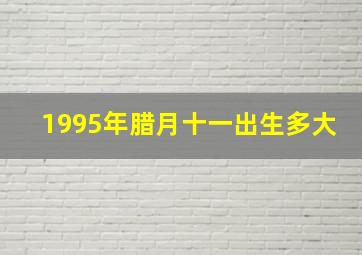 1995年腊月十一出生多大