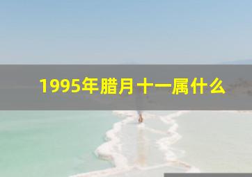 1995年腊月十一属什么