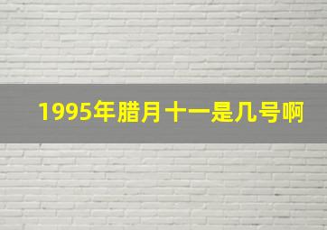 1995年腊月十一是几号啊