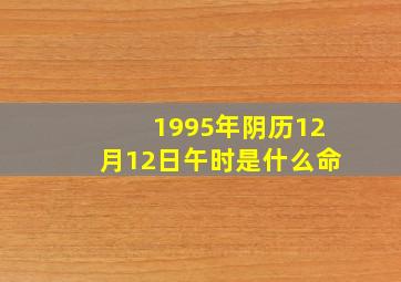 1995年阴历12月12日午时是什么命