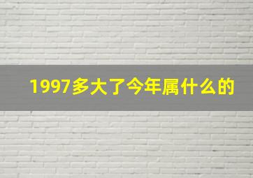 1997多大了今年属什么的