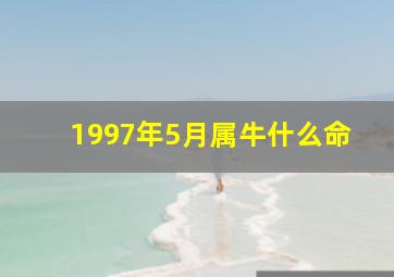 1997年5月属牛什么命