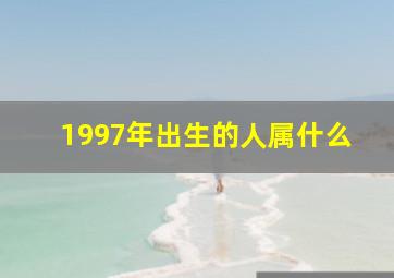 1997年出生的人属什么