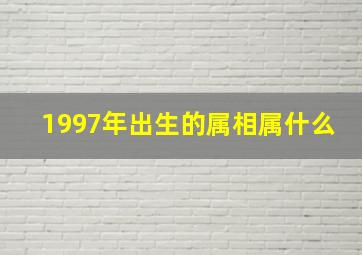 1997年出生的属相属什么