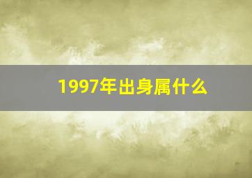 1997年出身属什么