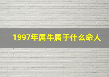 1997年属牛属于什么命人