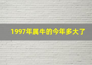 1997年属牛的今年多大了