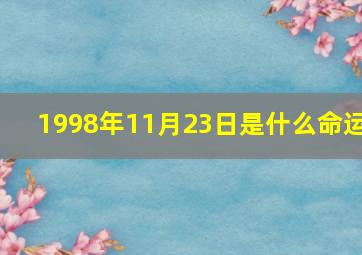 1998年11月23日是什么命运