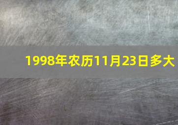 1998年农历11月23日多大