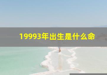 19993年出生是什么命