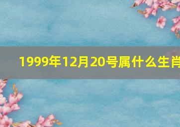 1999年12月20号属什么生肖