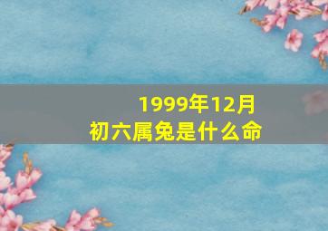 1999年12月初六属兔是什么命