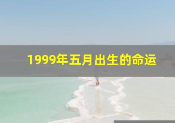 1999年五月出生的命运