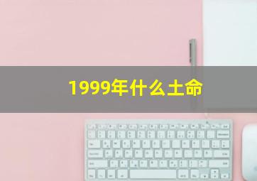 1999年什么土命