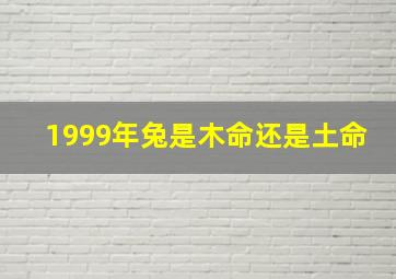 1999年兔是木命还是土命