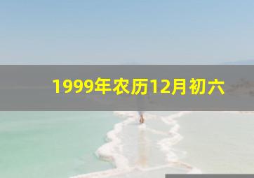 1999年农历12月初六