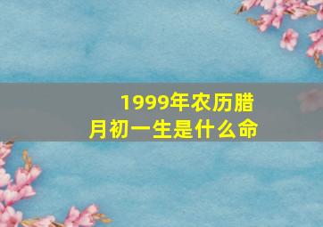 1999年农历腊月初一生是什么命