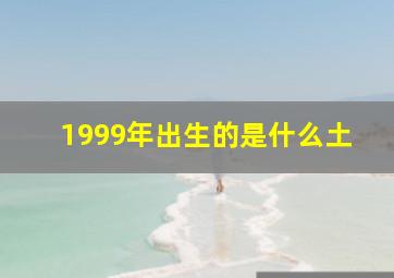 1999年出生的是什么土