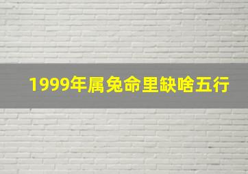 1999年属兔命里缺啥五行