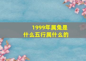 1999年属兔是什么五行属什么的