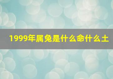 1999年属兔是什么命什么土