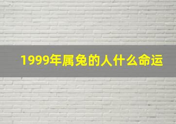 1999年属兔的人什么命运