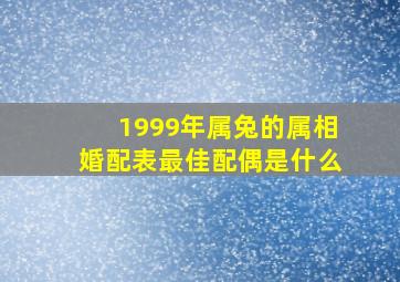 1999年属兔的属相婚配表最佳配偶是什么