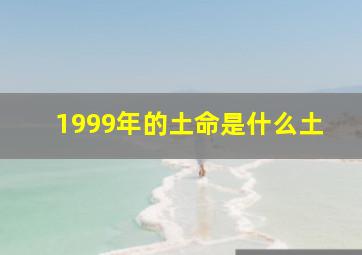 1999年的土命是什么土