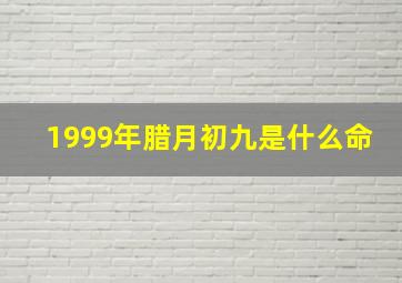 1999年腊月初九是什么命