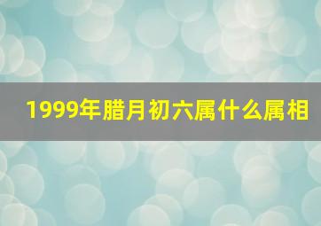 1999年腊月初六属什么属相