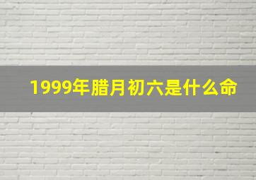 1999年腊月初六是什么命