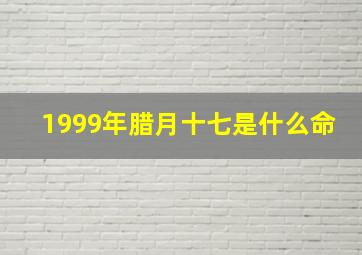 1999年腊月十七是什么命