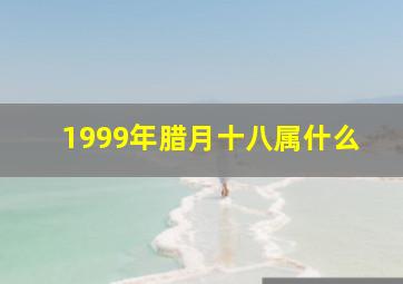 1999年腊月十八属什么