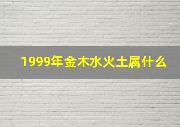 1999年金木水火土属什么