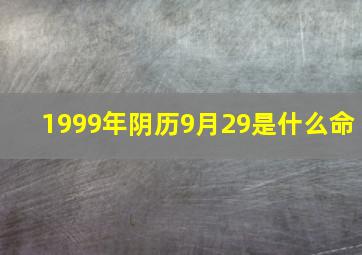 1999年阴历9月29是什么命