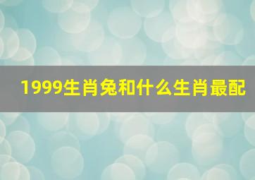 1999生肖兔和什么生肖最配