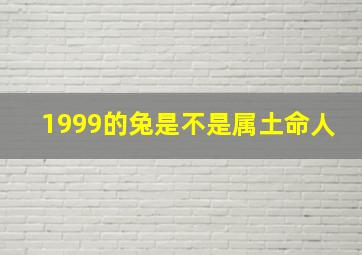 1999的兔是不是属土命人