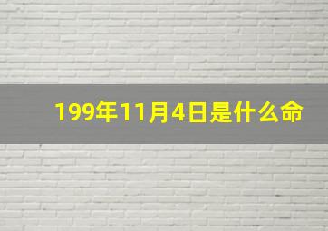 199年11月4日是什么命